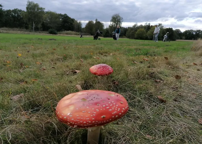 Privat bolig Beletage Duvenstedt *